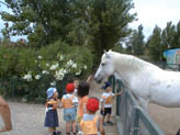 La petite ferme