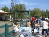 La petite ferme