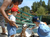 La petite ferme