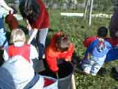 Atelier jardinage - novembre 99