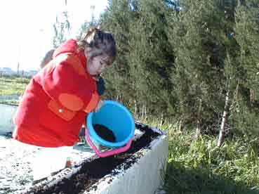 Atelier jardinage - novembre 99