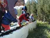 Atelier jardinage - novembre 99