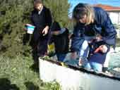 Atelier jardinage - novembre 99