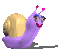 a_snail_next.gif (4598 octets)